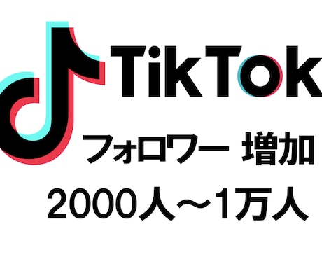 TikTokフォロワー2000人〜増やします 最大1万人まで 安心のSNS運用 イメージ2