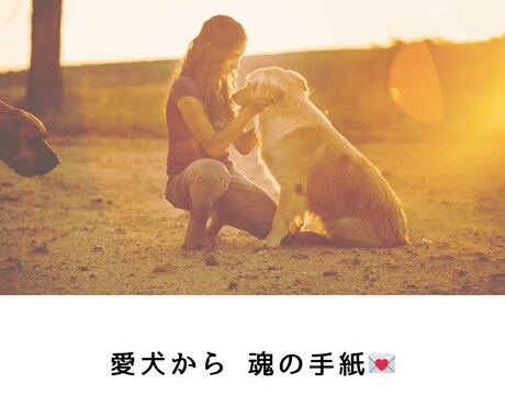 喋れない愛犬の想いを魂の手紙としてお届けします 愛犬との絆を深め、あなた自身の本当の声に気づく☆ イメージ1