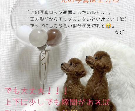 お気に入りのお写真をイラストにします 写真の良さを残したままイラストにしロック画面などを作成します イメージ2