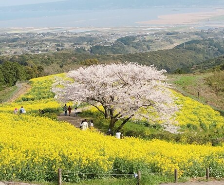 相手を思いやる気持ちとは何か？その心構えを教えます 国家資格有。カウンセラーが心を分析して次の一手を考えます！ イメージ1