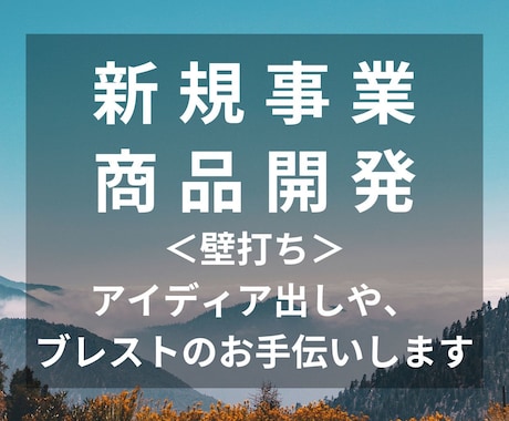 まずはカタチに!新規事業/商品開発を支援します アイデア出しや、ブレストで頭の中の整理をお手伝い(壁打ち) イメージ1