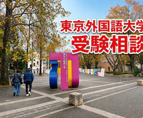 東京外国語大学を目指す方の受験相談に乗ります 浪人経験・短期での世界史対策をもとに受験対策の悩みに答えます イメージ1