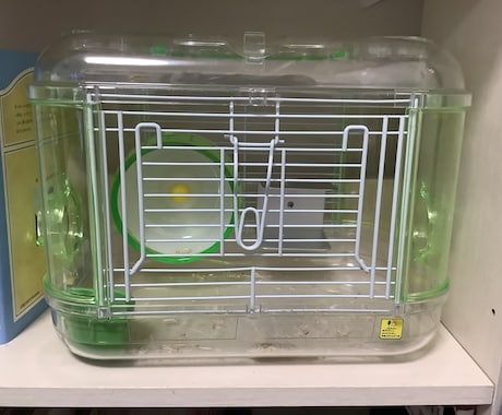 ハムスターのグッズの選び方の相談にのります ハムスターグッズ何を選べばいいのか迷っている方にオススメです イメージ2