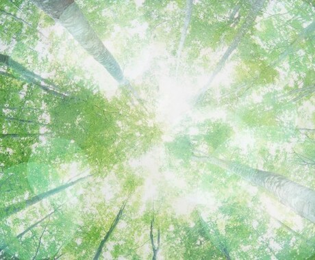 癒しになります。ちょっと聞いてアドバイスなどします 介護・福祉系歴19年の経験からお話します。 イメージ1