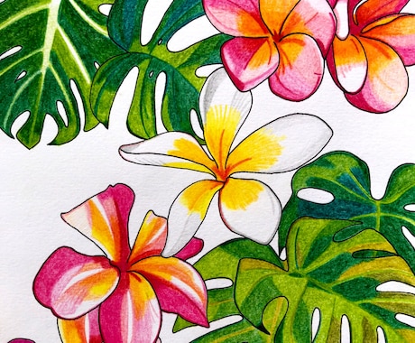 色鉛筆を使って手書きのデザインを作成致します 植物、果物、野菜のデザインが得意です イメージ2