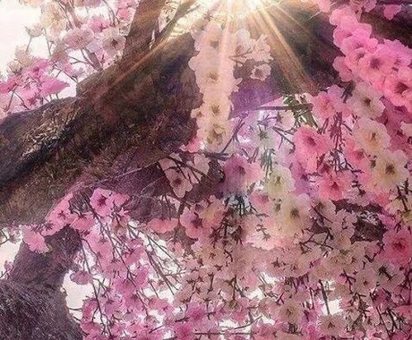 占いからあなたの才能・魅力・長所を分析します 就活や転職など進路に悩むあなたへ イメージ2