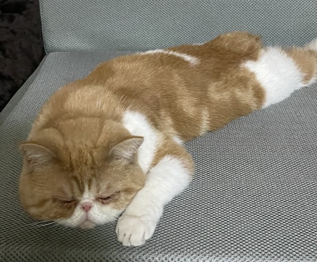 お話し、愚痴、悩み聞きます 話せば悩みは半減！楽しさ2倍！ イメージ1