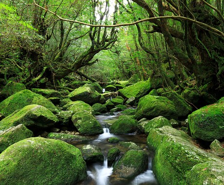 貴方の悩み愚痴聞きます 悩みや愚痴寄り添い受け入れます。 イメージ2
