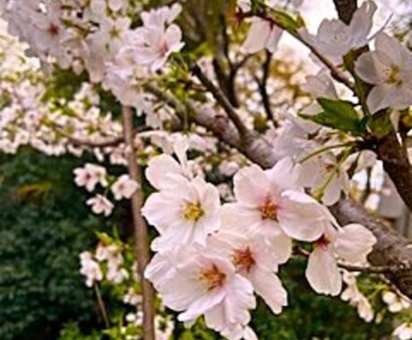 外観でわからぬ不調や働けない焦り…その声を聴きます 心に優しく寄り添います。自身のペースでゆっくりお話しください イメージ1