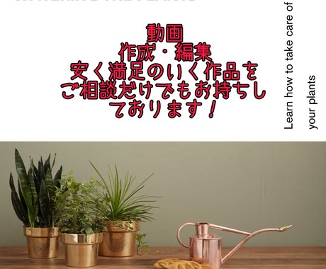 動画の作成、編集を行っております イメージ1