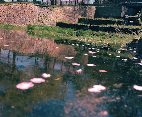 自然の中で魂を読み解く瞑想リーディング始めます 海風、波音に導かれ揺るがない選択を取り戻す特別なひととき イメージ2