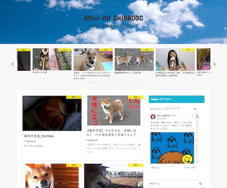放置型◎アフィリエイトサイト自動設定します 面倒な更新が不要の新型アフィリ イメージ1