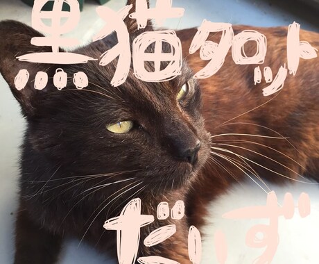 心が晴れるまでリーディングします あなたの人生、あなたの手で切り拓くお手伝いします！ イメージ1