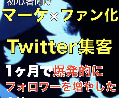 Twitter集客しファンを集める方法教えます 集客・売上UPしたくありませんか？ イメージ1