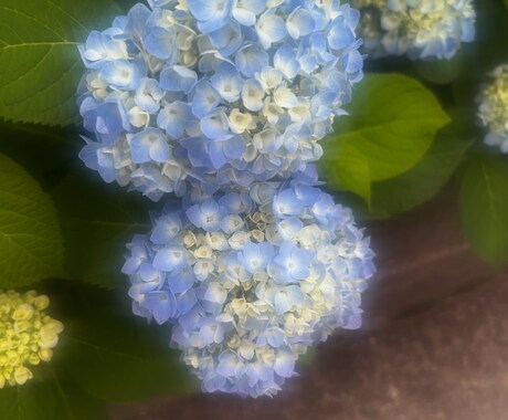 精神病経験者があなたの気持ち、そっと受け止めます どんな気持ちも大丈夫。安心してあなたの話をお聞かせください。 イメージ2