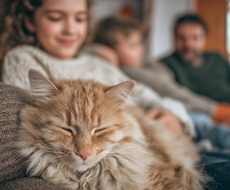 あなたのペットが伝えたいことを代弁します 本当に伝えたい愛犬・愛猫からのメッセージ イメージ2