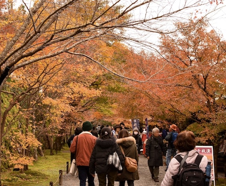 土日限定！京都でカメラマンが素敵なお写真撮影します 京都を訪れる方、京都に在住の方全員が対象です！ イメージ2