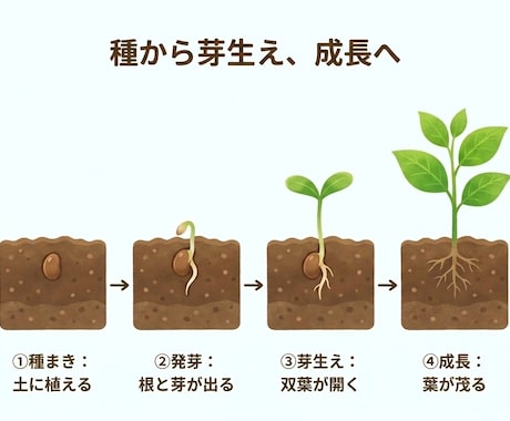 わかりやすいオリジナル図解を作成します 文章だけでは伝わりにくい内容を、見やすい図解にまとめます イメージ2