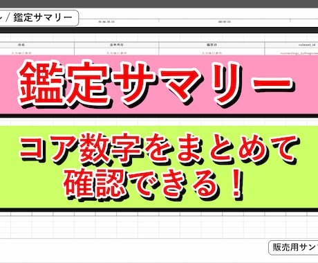 数秘術自動鑑定ツールを提供します コア数字と年運表をExcelで作成 イメージ2