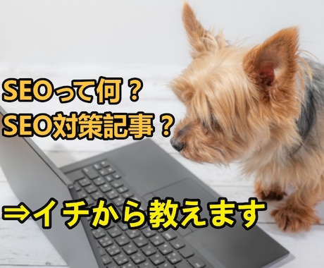 SEOやSEO対策記事って何？イチから教えます 初心者におすすめ！ブログ作成で知っておくべきSEO基礎知識 イメージ1