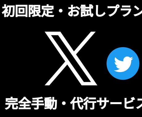 初回限定！X（旧Twitter）運用代行します 【完全手動】毎日コツコツ作業代行で自然なフォロワー増加 イメージ1