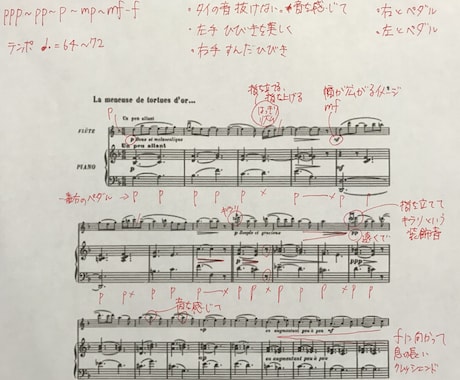 あなたの弾けない要因を分析して改善します 東京藝大卒/元劇団四季ピアニストが動画と楽譜書込でアドバイス イメージ2