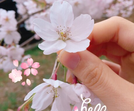 LINE感覚で♡恋愛相談なんでものります 友達みたいに、お姉ちゃんや妹みたいに、気軽に話しましょう♬︎ イメージ1