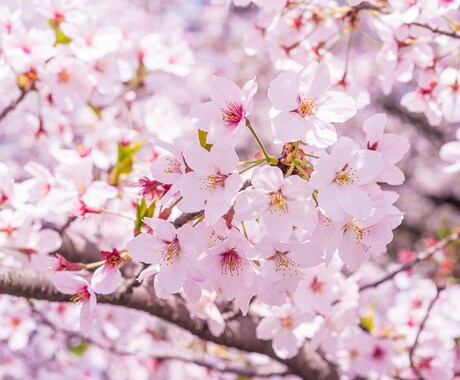宅建試験で分からないこと等アドバイスします 宅建を勉強する際に詰まったことなどリアルタイムで返します！ イメージ1