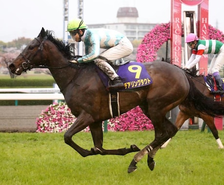 投資競馬☆馬券は1点のみ！買い目公開します 買い目は1点のみ！ギャンブルと投資の違いは根拠があるかどうか イメージ1