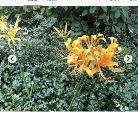 お話し相手になります 誰かに話したい時ありますよね。そんな時にご利用下さい イメージ1