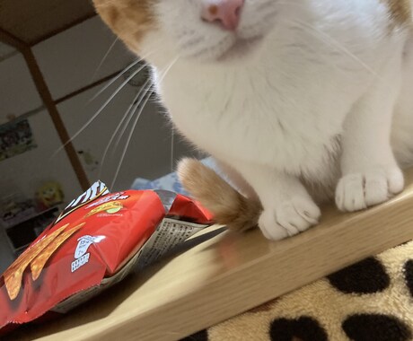 話し相手になります 元保育、介護経験あり(´∀｀*)ﾉｼ イメージ2