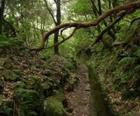 お悩み、愚痴など責任を持ってお聞きします 小さなものから深刻なものまで全て承ります！ イメージ1
