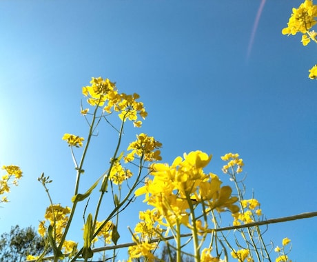 心をほぐし、かるくします 誰にも言えない気持ち、ここで休ませて。 イメージ1