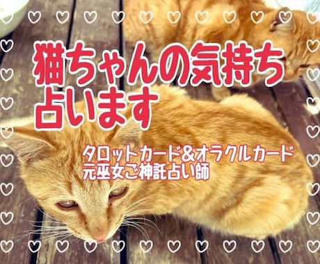 飼ってる猫ちゃんの気持ち占います 猫ちゃんからのメッセージ、気持ちを占います イメージ1