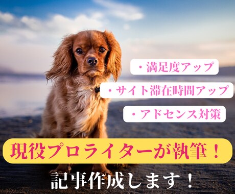 SEO、アドセンス対策◎ご希望のテーマ記事書きます 最安値です！1文字1.75円で素早く丁寧に納品します。 イメージ1