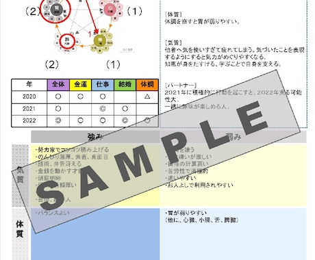 あなたの能力を五行鑑定します あなたの強みを発揮するためのアイディア鑑定書です。 イメージ2