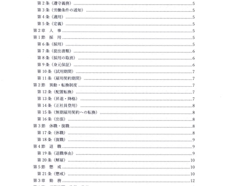 就業規則と雇用契約書類をセットで作成します 就業規則と雇用契約書類で、大切な会社をしっかりサポートします イメージ2