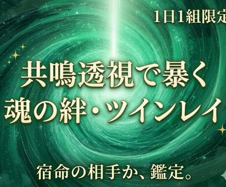 1日1組限定◇共鳴透視で彼がツインレイか暴きます 言葉を超えた不思議な縁。魂の片割れ（ツイン）か真偽を鑑定 イメージ1