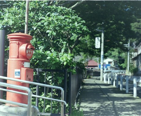 ネガフィルムのデータ化します 【高画素】ネガフィルムのデータ化承ります！（35mm） イメージ2