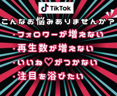 TikTokフォロワーを増加します TikTokフォロワー宣伝・拡散！フォロワー増加確実！保証付 イメージ2