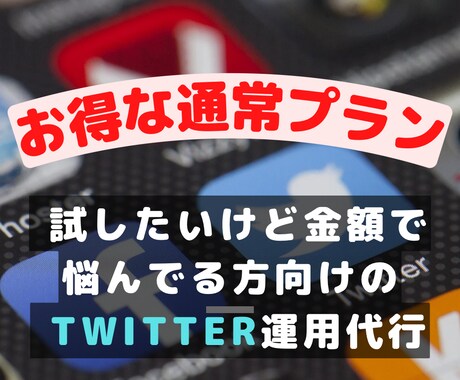 これで決まり！本気のTwitter運用します ファンになるフォロワーを獲得しいいね数アップ！！ イメージ1