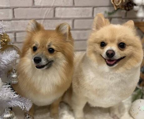 どんなお話でも5分からお相手したします ジャンルは問いません！私とお話しましょう^^* イメージ1