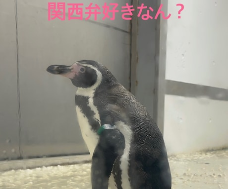 関西弁がいいよって方には関西弁で話します 優しい関西弁でお話しします╰(*´︶`*)╯♡ イメージ1