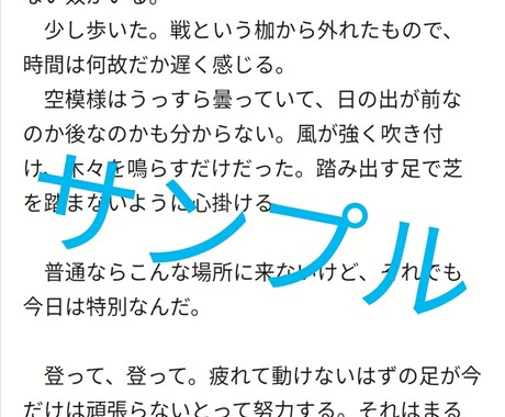 小説や物語の執筆をお手伝い致します 物語の文章化、構成方法にお悩みの皆さまへ イメージ2