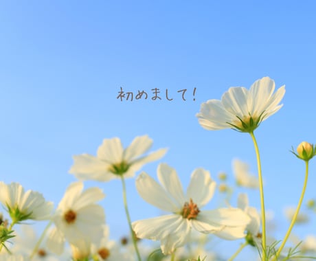 チョットでも♪会話で心の栄養補給✨笑顔で迎えます 男女OK！相談・愚痴・雑談・何でも♪安心して話せる場所☘️ イメージ2