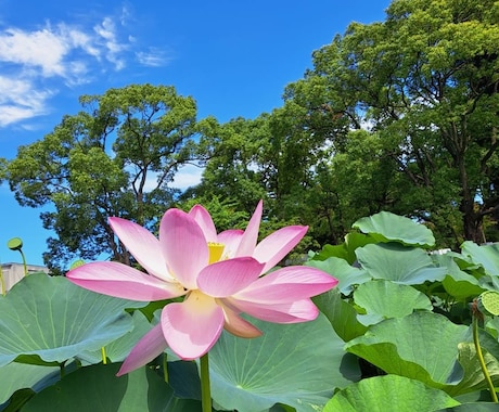 心の不安を否定せずあなたの悩みを聴きます 自分を否定してつらい。やる気がでない。気持ちを共有します。 イメージ1