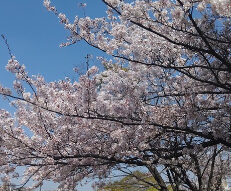 あなたのお悩み、よりそいます 諦める、、後悔する、、前に心を打ち明けてみませんか？ イメージ1