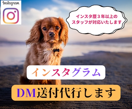 インスタグラムのDM200通を送付代行いたします 重要なダイレクトメッセージを手作業でユーザー様にお届けします イメージ1
