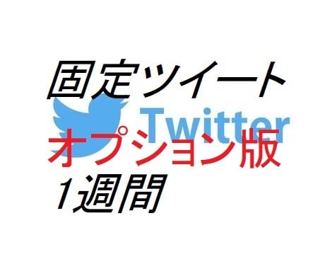 効果抜群❢❢TwitterXの固定ポストを行います 【オプション版】TwitterX主要アカウントにて1週間固定 イメージ1