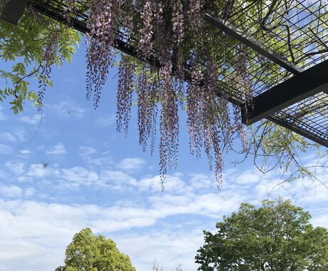 普通のつまらない日常を面白くします 煮詰まるブログ。無反応ライン。見方変える。そしたら変わる。 イメージ1